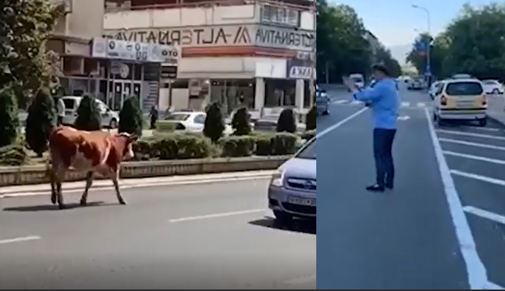 Видео кое ќе ве насмее до солзи: Шилегов ја брка кравата на Бит Пазар