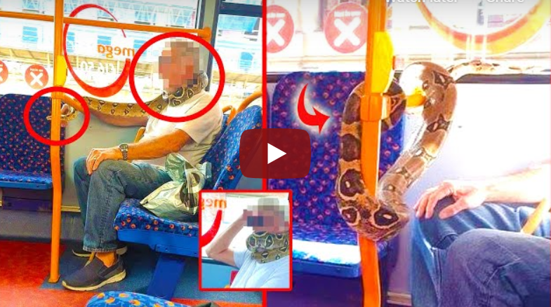 Човек носел 3мија како заштитна маска во автобус (ВИДЕО)