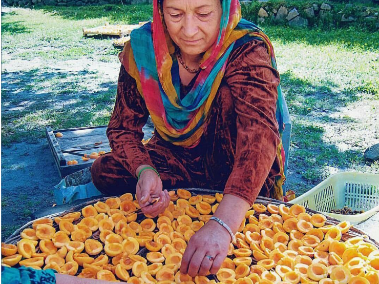 Го прославуваат и својот 145 роденден: Вака изгледа животниот стил на најздравиот народ на светот