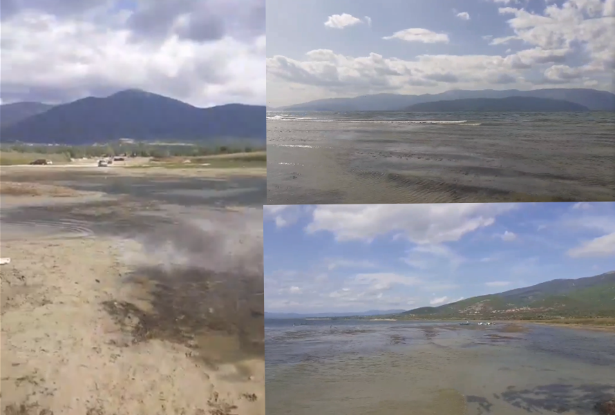 „И сеуште молк … никој ни да зуцне, зарем вака се оди напред, со пустошење на Македонија“