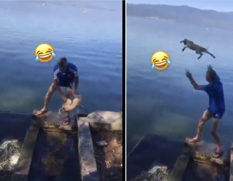 ГНАСА НАРОД! ? БЕЗ СРАМ го фpли кучето во вода