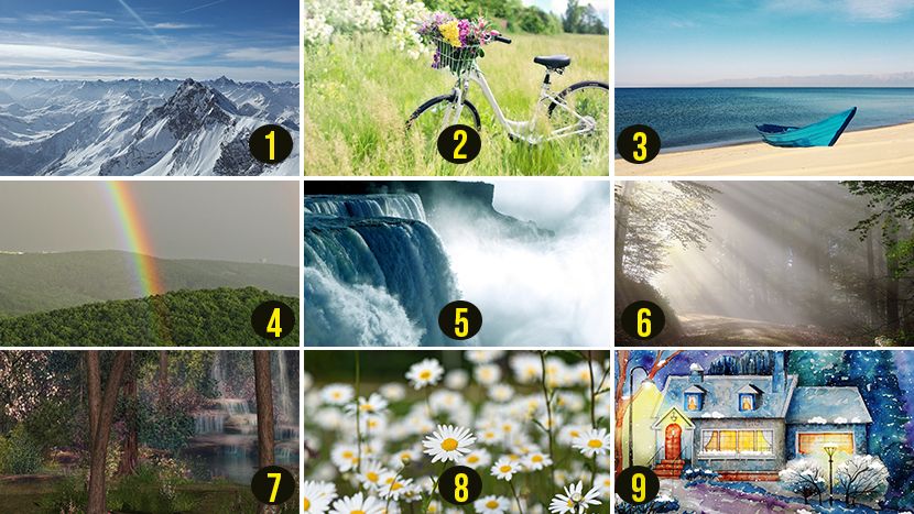 Сурово искрен тест за личности изработен од холандски психолози: Секој вели дека тестот не греши!