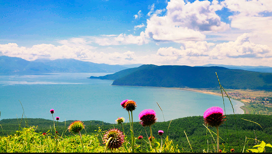 Плаќаат над 20 евра дневница и оброк: Град во Македонија дава одлични услови за заработка