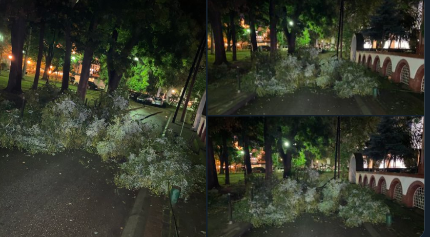 „Два ипол саати чекаме за паднато дрво да кренат, функционира ли нешто во државава?“