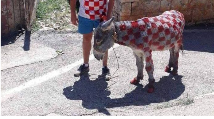 ЕУ платила да тренираме европско магаре за 83.000 евра