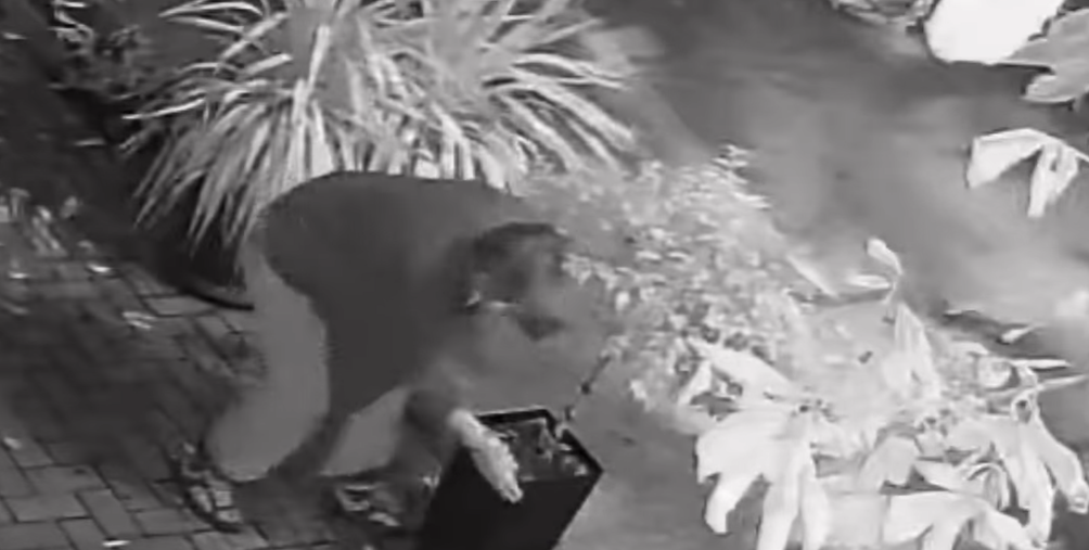 Жена украде 20кг саксија од Дебар Маало – Видео