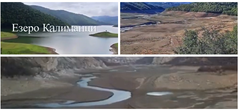 „Жално е колку никој за ништо не реагира, а државата и нејзините институции не превземаат ништо“