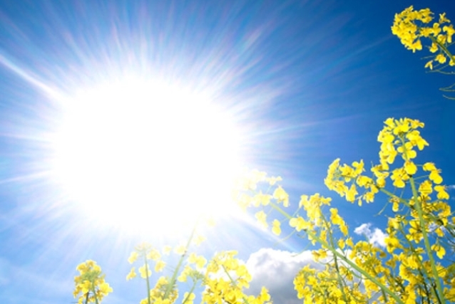 Испланирајте си го викендот – нѐ очекува сончево време