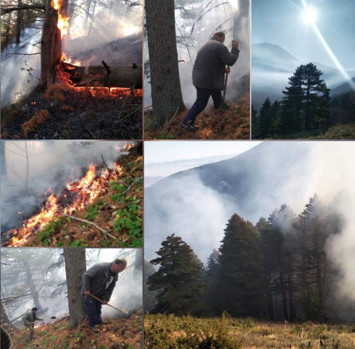 Херојски подвиг на Национален Парк Пелистер: Изгаснаа пожар на непристапен терен