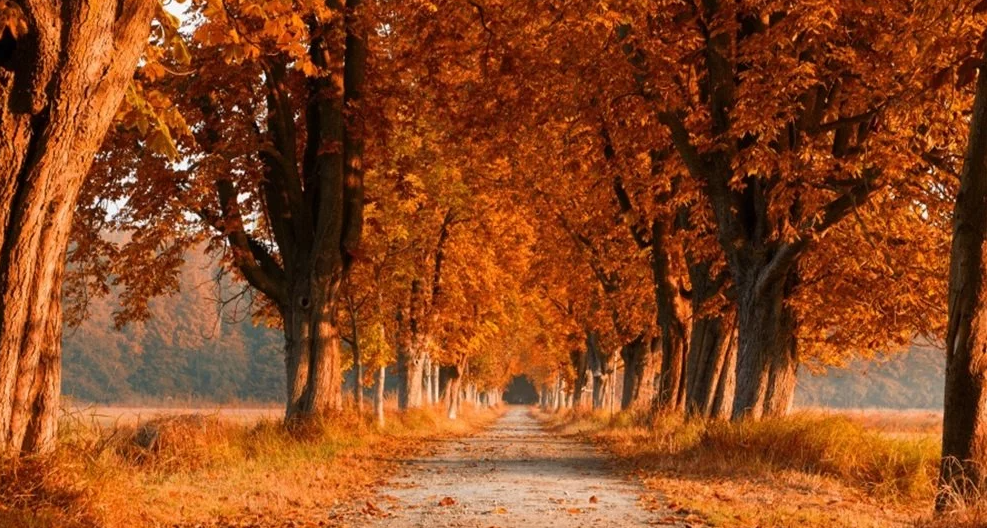 Ноември ќе се памети долго – временска прогноза за цел месец