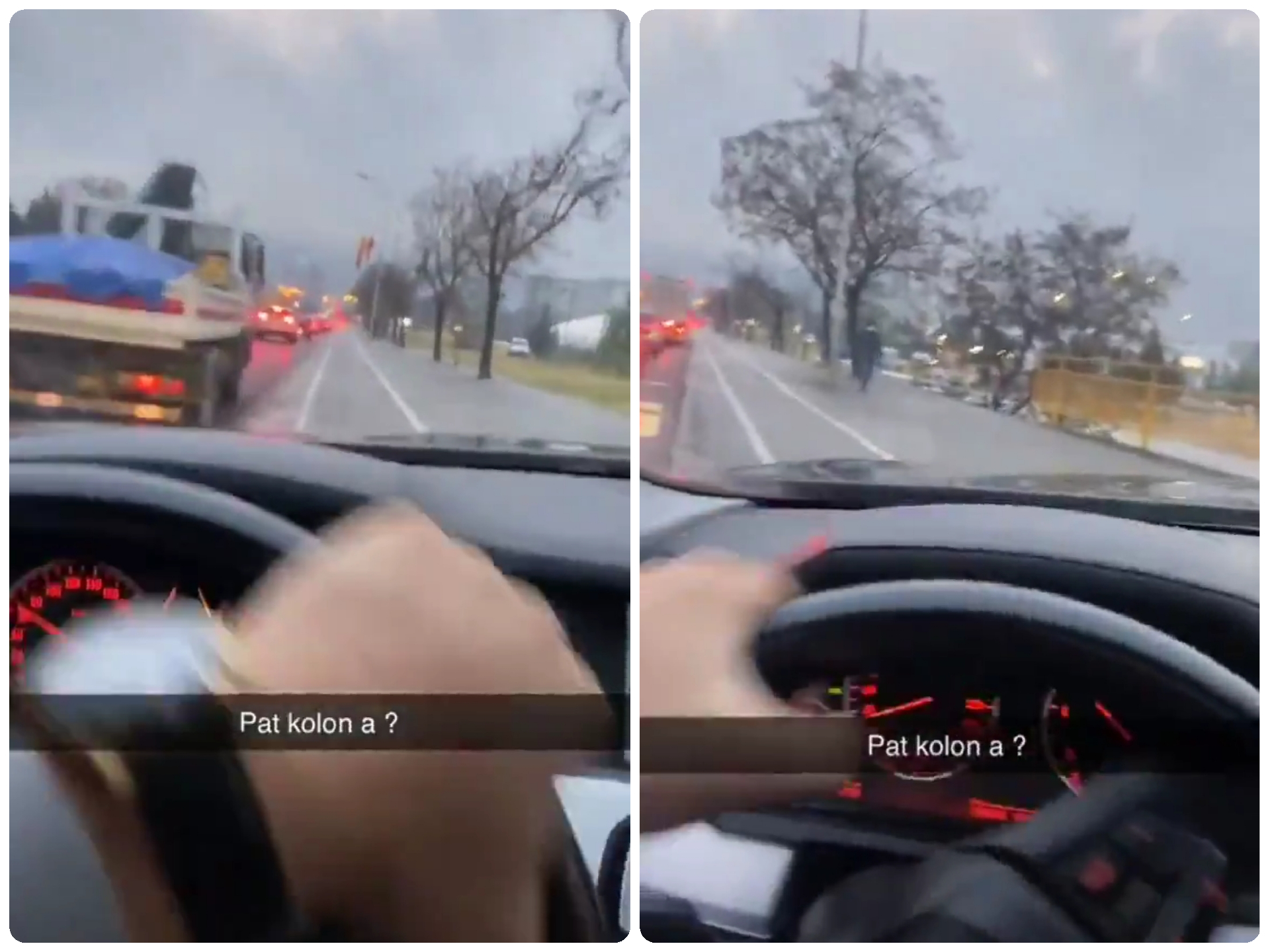 И за оваа „бела мечка“ не важат законите во Македонија