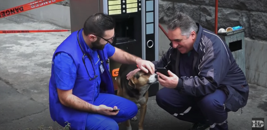Трогателна приказна: Кучето го чека пред болницата додека не оздрави