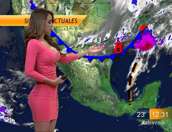 Ова е дефинитивно НАЈЗГОДНАТА презентерката на временска прогноза