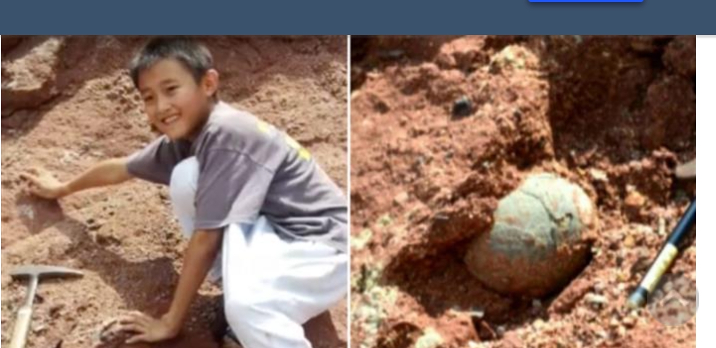 Дете од Кина пронајде јајце од диносаурус 66 милиони години старо