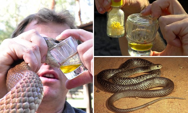 3миски отpов можен лек против Ковид-19