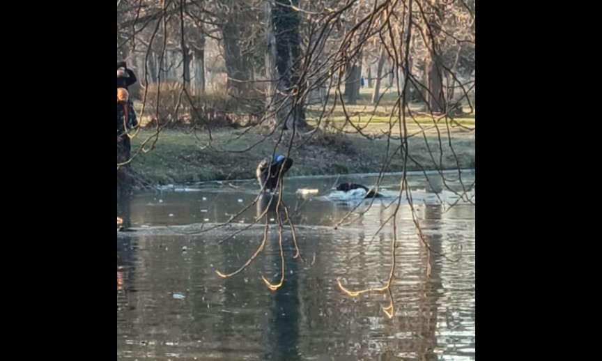Васко на ладново спасил две кучиња во замрзнатата вода во Градски парк