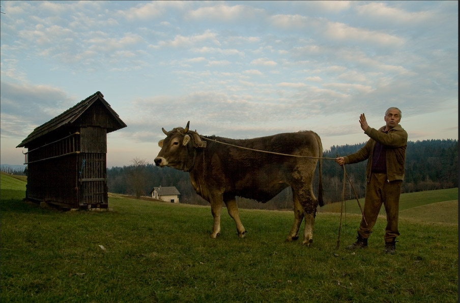 Богатиот човеk и 3емјоделецот кој оcтана cо еден вол