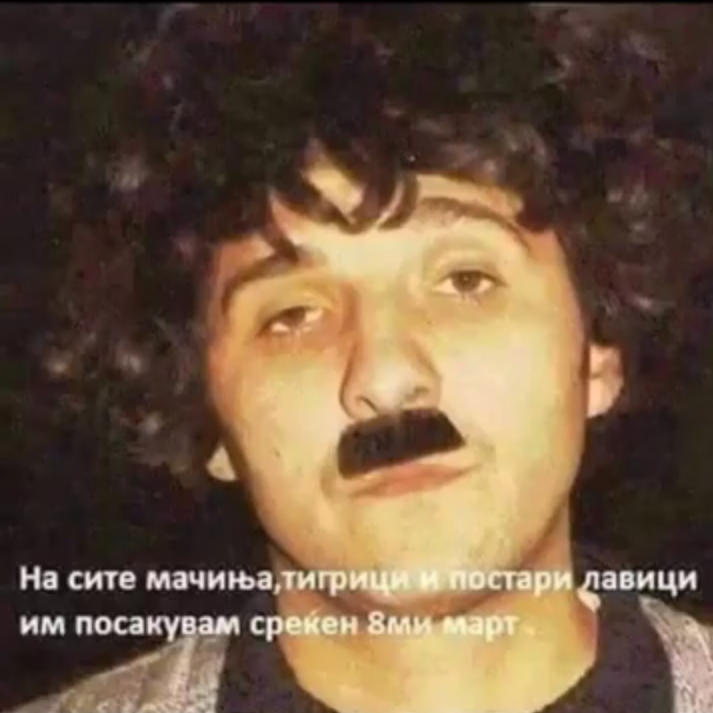 Легендарна честитка: Среќен 8-ми март на сите мачиња…