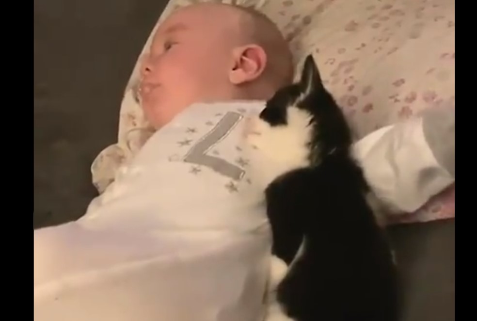 Е нема послатко видео!