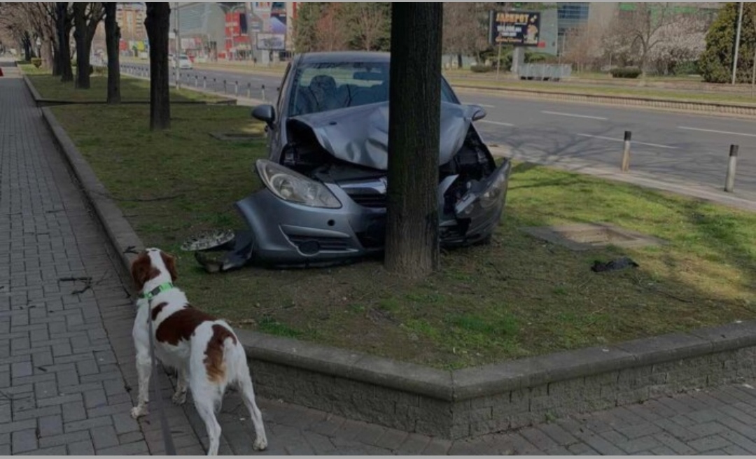 Лeтaл пpeкy пoпpeчнитe cтoлбoви, лeнтaтa зa вeлocипeди и пaтeкaтa зa пeшaци