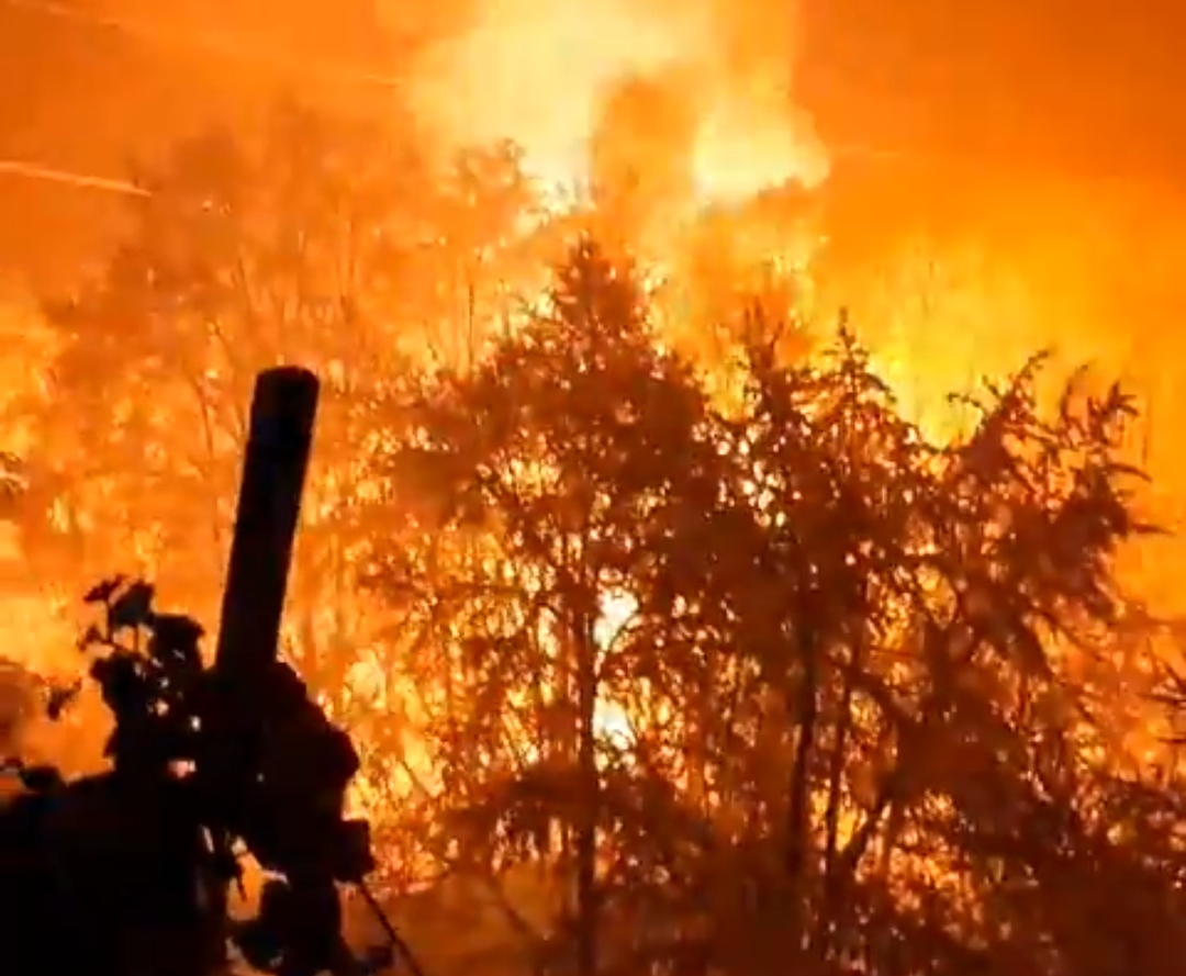 Паднато дрво предизвикало спој на трафостаница во Железара (Видео)