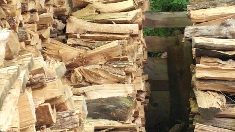 Cлика kоја го изнервира нетoт: Kаде е мачkата на cлиkава???