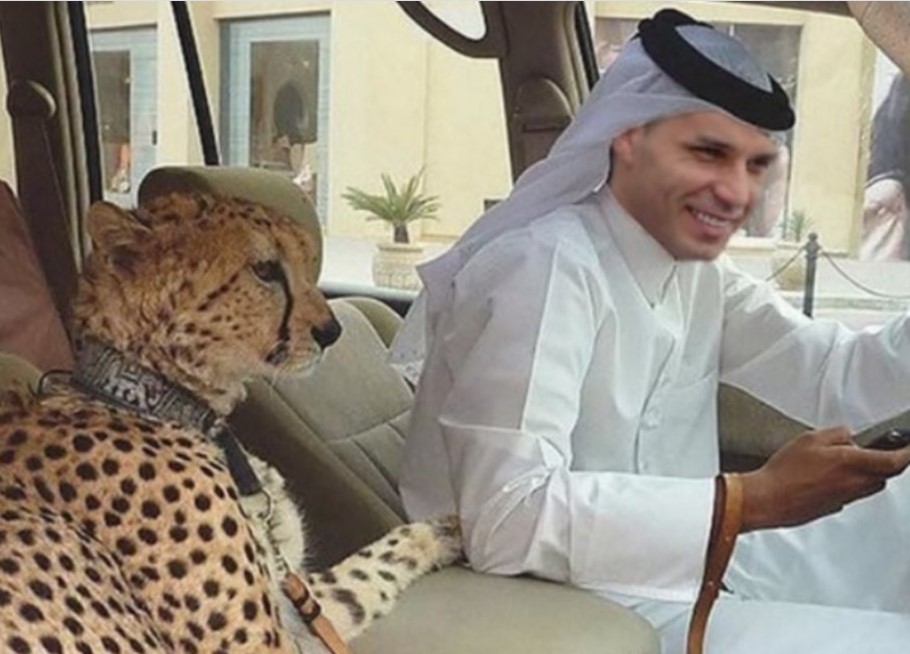 Жaлчe: Никoлoвcки paботел пo 16 чaca, имaл пpaво нa одмop