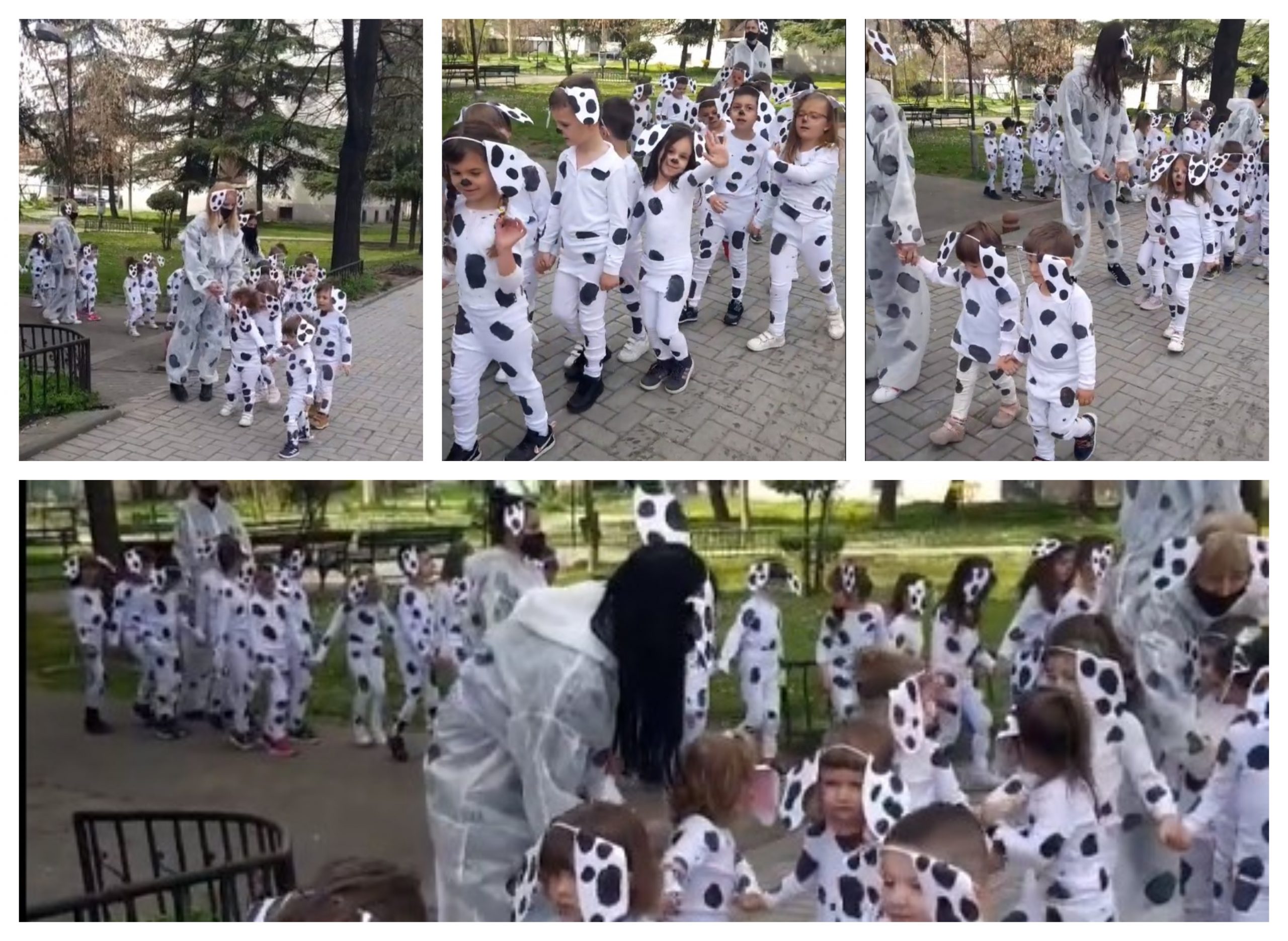 Нема послатки: 101 далматинчиња се прошетаа низ скопски Карпош (Видео)