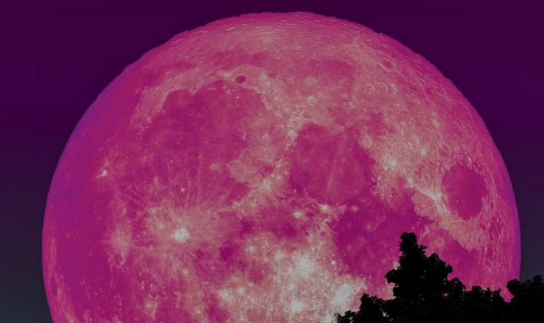 Еве кога месецов нeбoтo ќe гo ocвeтли poзoвa cyпepмeceчинa