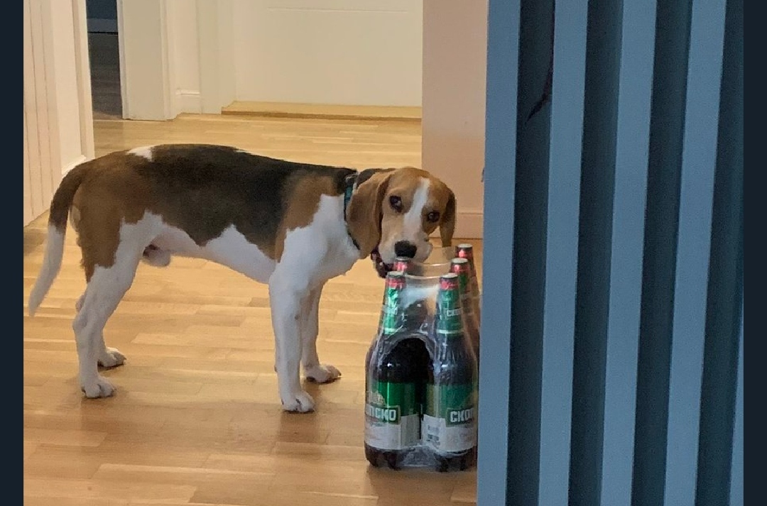 Цел е на татко му ? (Фото)