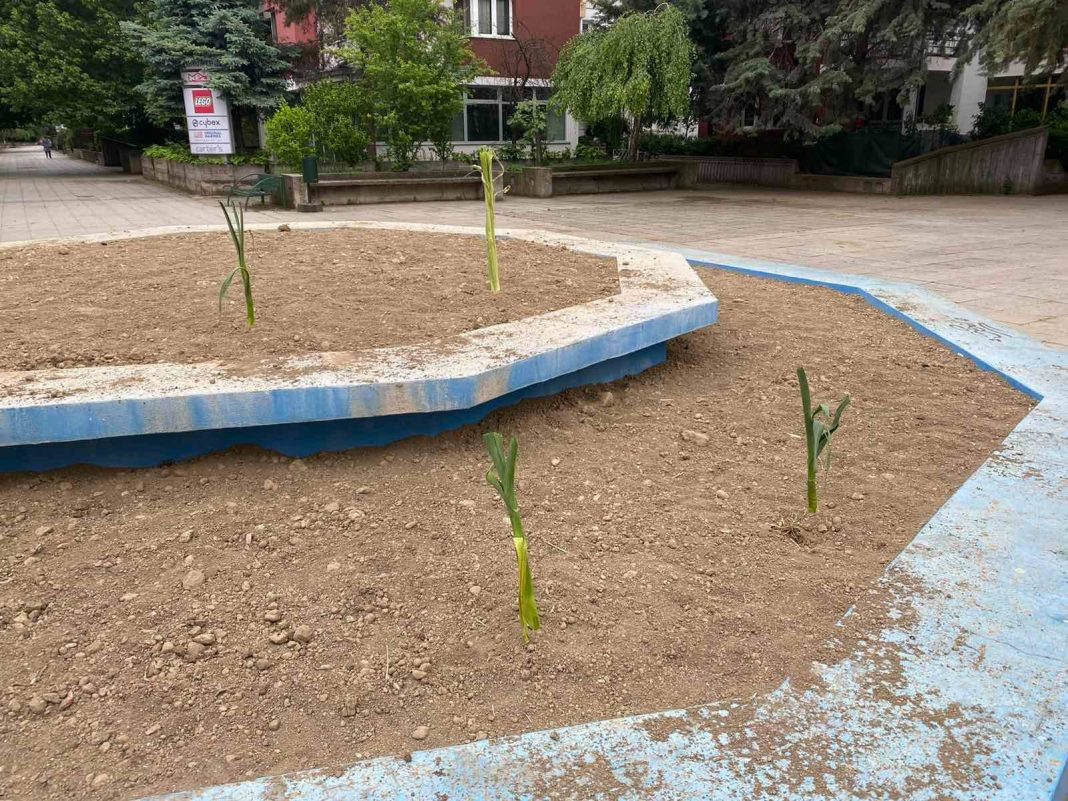 Никнал ПРАЗ во фонтаната кај ТЦ Бисер ?(ФОТО)