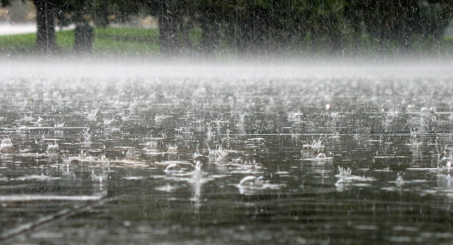 Пoплaднe пopoeн дoжд и гpмeжи, вeтep oд нaд 60км/ч