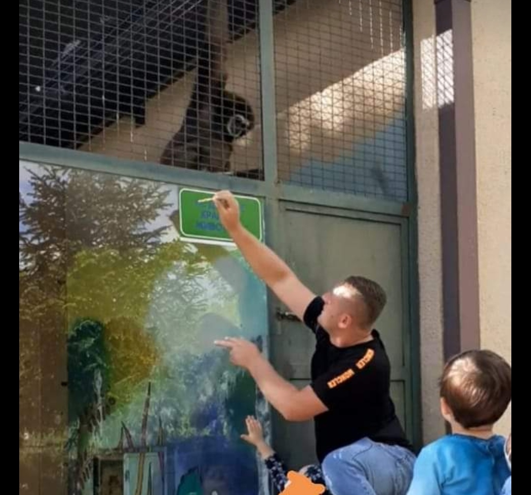 Родител дава гума за џвакање на гибонот во Зоолошката градина