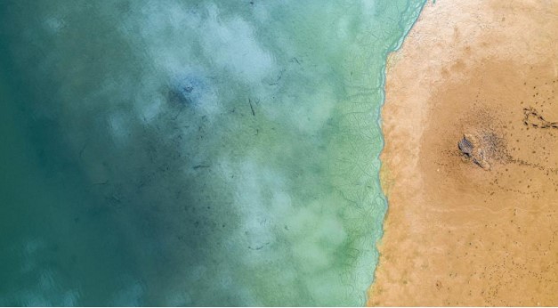 Снимен неверојатен момент: Сурферите немале идеја околу што пливаат (ФОТО)