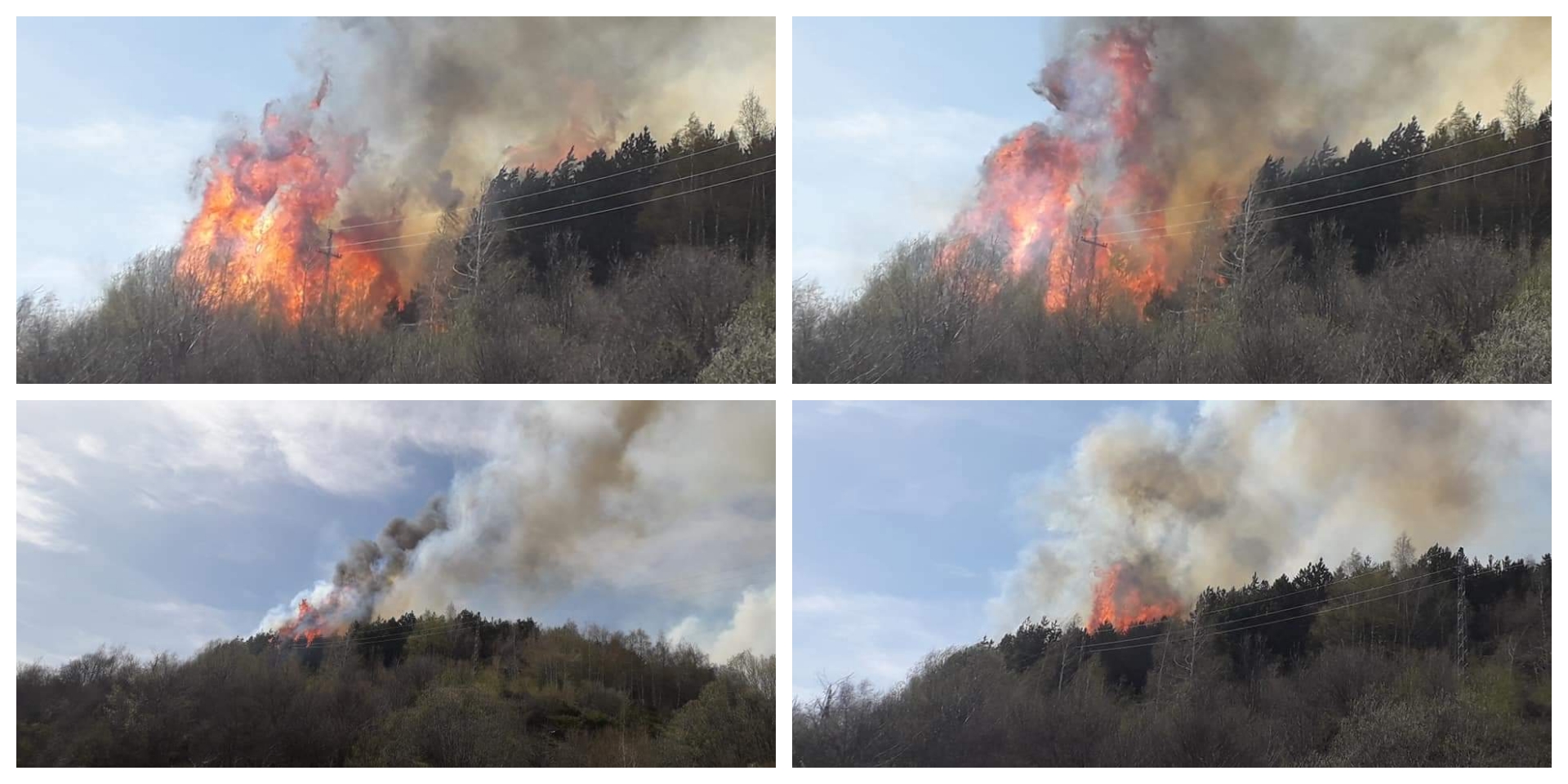 Пожарот во Галичник под контрола, на помош вечерва и АРМ (Фото)