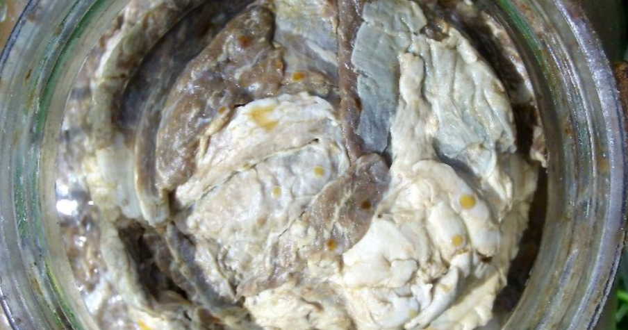 Нови бизарни трендови на социјалните мрежи – јадат живо или расипано месо и го промовираат како сосема нормално