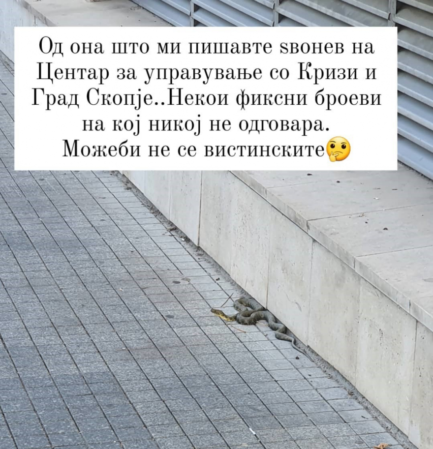 Видео: ЗМИИ на кеј во центарот на Скопје, граѓаните да бидат внимателни!?