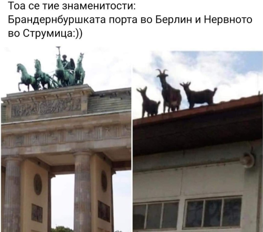 Каде за преглед? – Лево, па трета врата после козите, одма до кравата ?