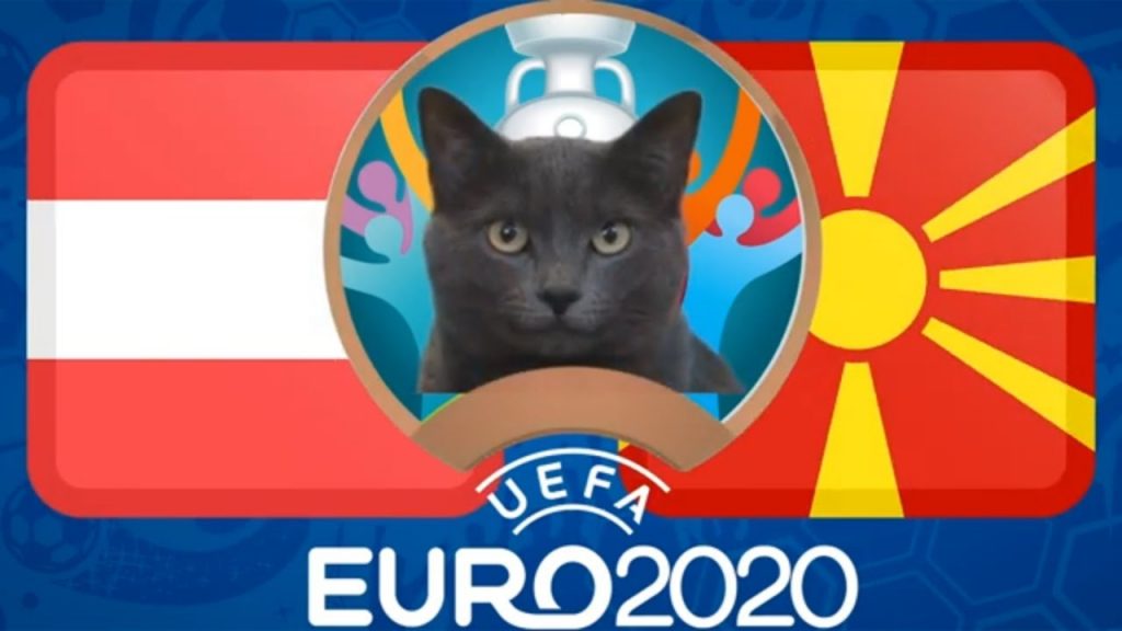 Мачето КЕС типува на победа за Македонија! :) (Видео)