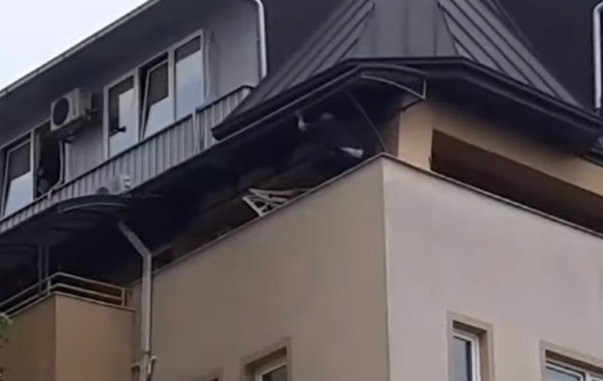 (Видео)Спасувачка акција кај Мавровка, маж проба да се самоубие