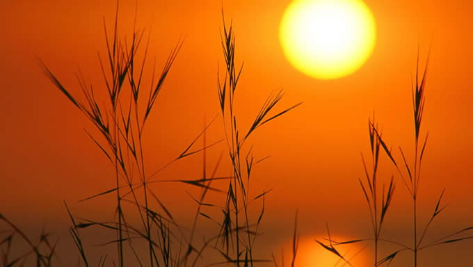 Денеска е тежок празник: Ден кога се врти Сонцето, ова се обичаите