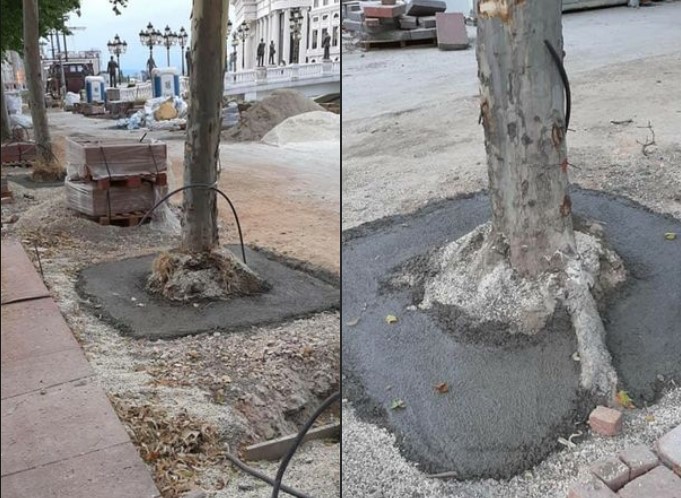 Зелената иднина ни е БЕТОН ! ?(Фото)