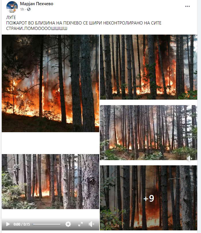 ГОРИ МАЛЕШЕВИЈАТА- Потребно е храна и вода за луѓето кои го гаснат огнот❗