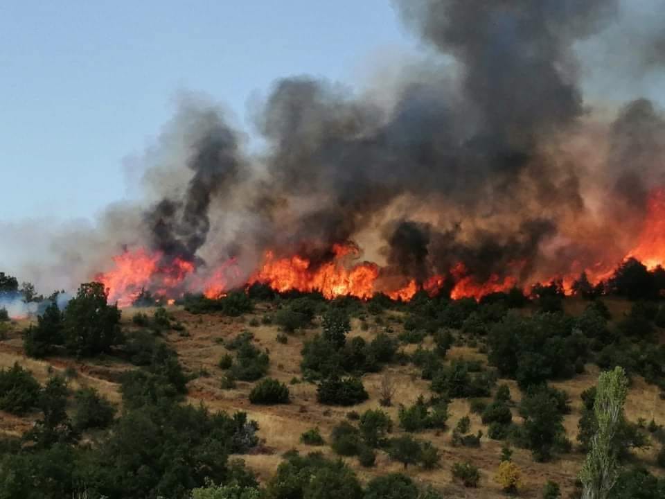 ДЕТАЛИ ЗА СИТЕ ПОЖАРИ: 14 куќи и училиште изгореа во Дренак, пожарот кај Пасјак е во дијаметар од 9 км