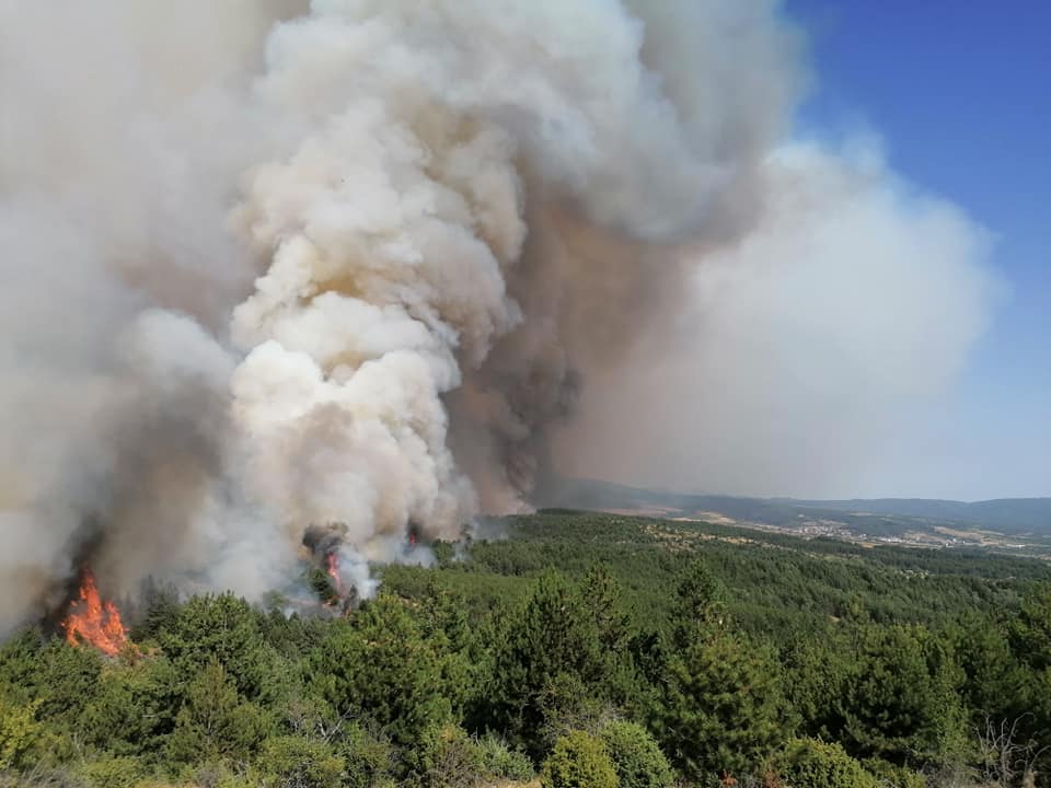 Отец Оливер: Ситуацијата во Пехчево е трагедија, апелирам да помогнеме со вода и храна