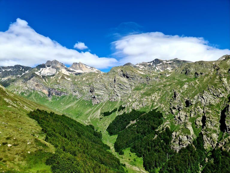Од денеска делумна ЗАБРАНА ЗА ДВИЖЕЊЕ ВО ШУМИТЕ, треба да имате ДОЗВОЛА