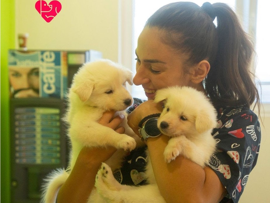 Нема послатки: Златка од „Лајка“ ги порасна фрлените кутриња од Расадник, сега се подготвени за вдомување ?