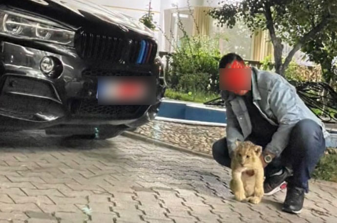 Противзаконски Македонски граѓани се шетаат и сликаат со младенчиња од ЛАВ (ФОТО)