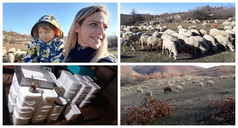 Младата мајка ТАМАРА се бори да ги задржи овците, пари не бара само материјали за градба на дом за 360 ОВЦИ (Фото)