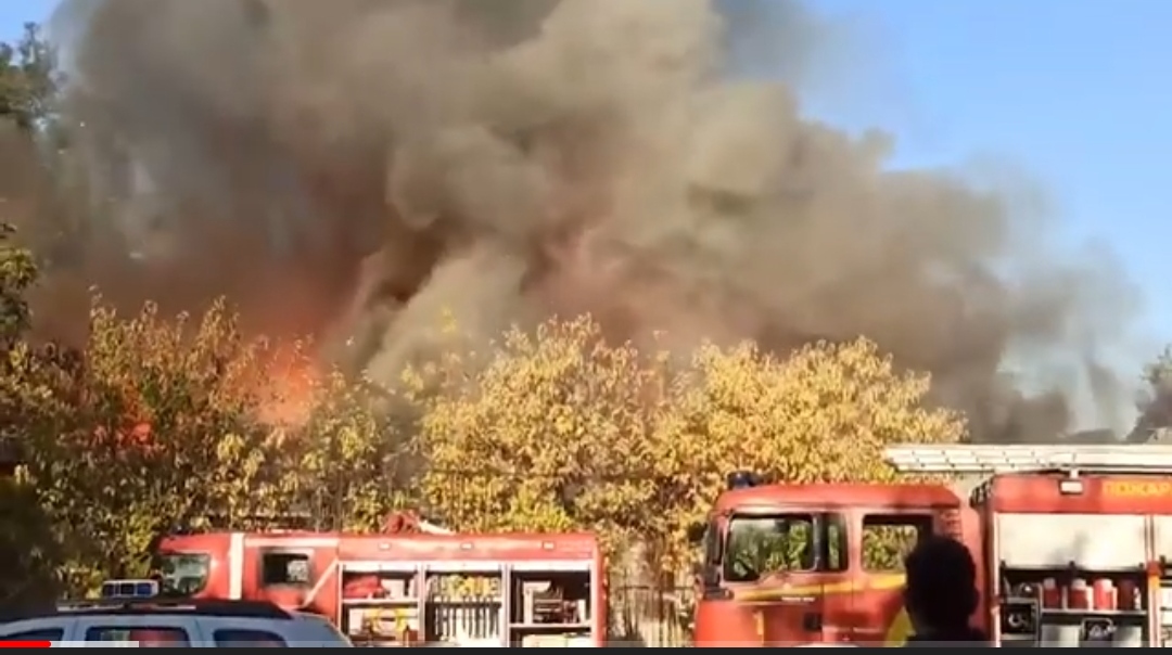 Во пожарот во Градски парк зафатен и покривот на ресторанот „Томче и Софка“ (Видео)